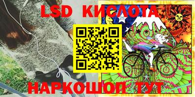 бошки Дубна