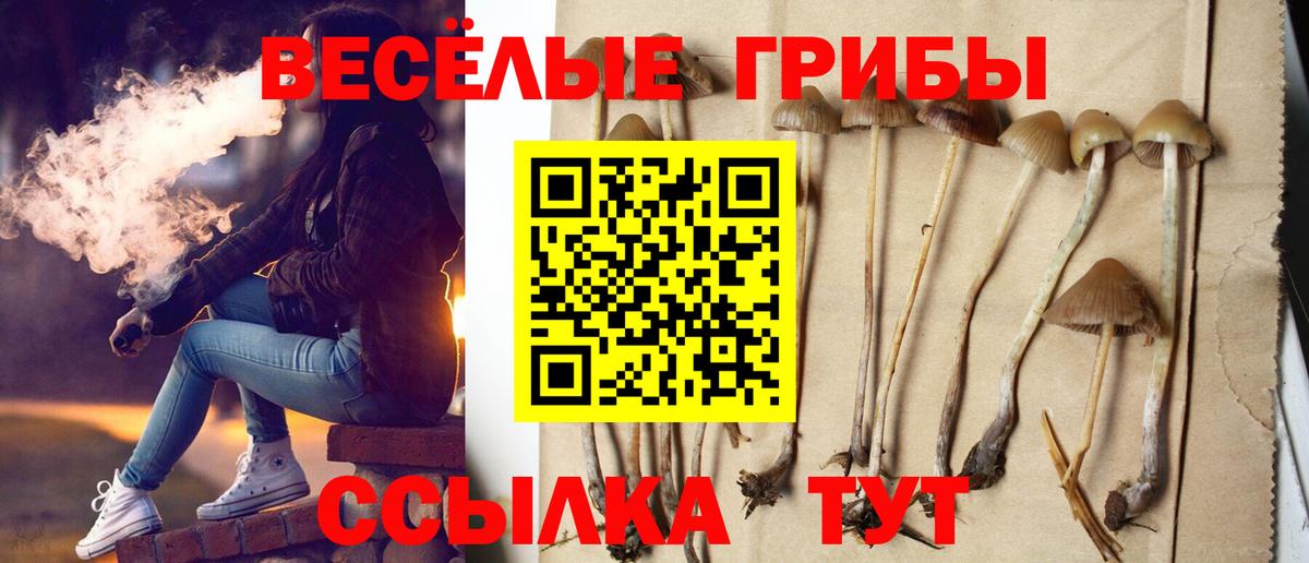 Галлюциногенные грибы GOLDEN TEACHER  Вход с VPN  Магнитогорск  Псилоцибиновые грибы GOLDEN TEACHER 